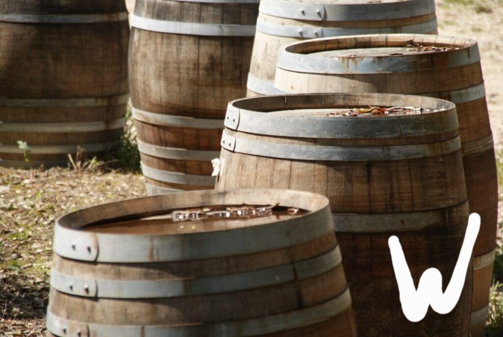 Fachsimpeln über Wein - eine gute Beschäftigung für demenzkranke Männer. Und Sprüche über das Alter findet man auch viele zum Thema Wein