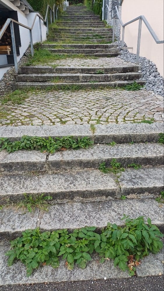 Wie wird man alt? Stufe um Stufe geht es nach oben.