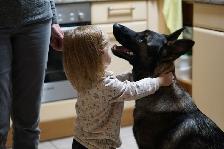 "Erinnerungen auf 4 Pfoten" - dieses Buch mit Demenz Geschichten habe ich meiner Schwiegermutter und ihrer Schäferhündin Ruby gewidmet